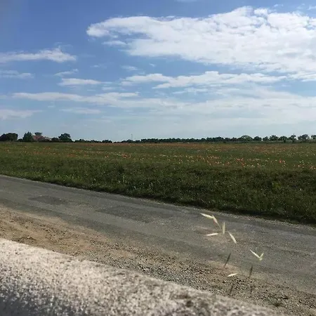 Aux Portes De La Rochelle - Un Air De Campagne Au Bord De